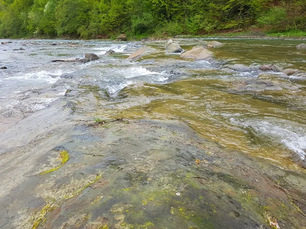 Cenário lindo no rio da montanha. Férias de verão e holi — Fotografia de Stock