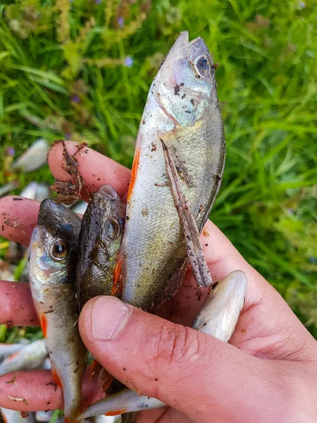 God fångst fiskare. Aktivt friluftsliv. — Stockfoto