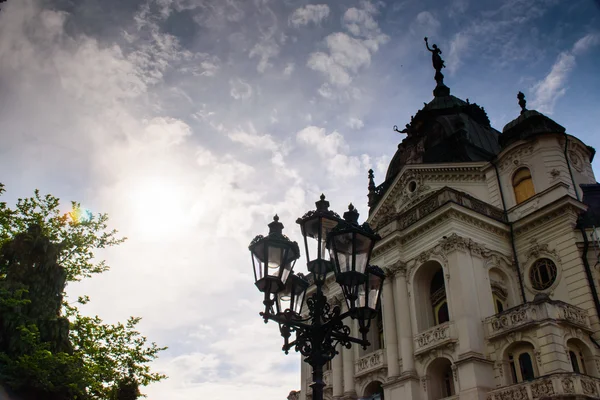 Cathedral St Elizabeth, kosice, Slovakya — Stok fotoğraf