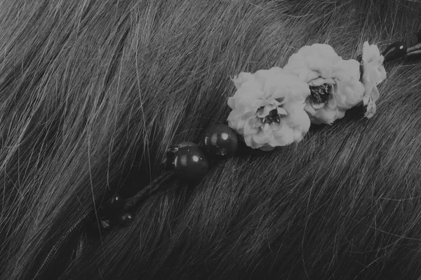 Pretty brunette with a wreath in her hair, black-and-white photo — Stock Photo, Image