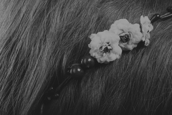 Красива брюнетка з вінком у волоссі, чорно-біле фото — стокове фото