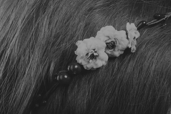 Morena bonita com uma coroa de flores no cabelo, foto em preto e branco — Fotografia de Stock