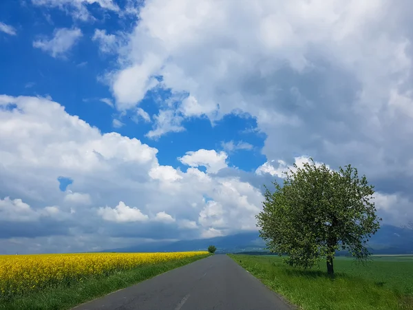 Magnifique vue sur les montagnes et la route. Sce spectaculaire — Photo