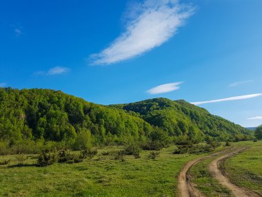 yol. Arabadan görüntülemek