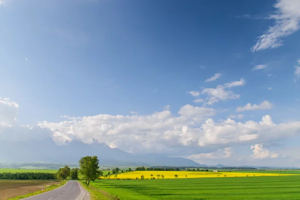 山や道の景色。壮大な sce — ストック写真