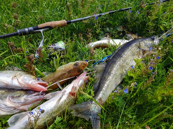 God fångst fiskare. Leisure. — Stockfoto