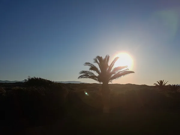 Lindo pôr-do-sol sobre o mar. Bela natureza . — Fotografia de Stock