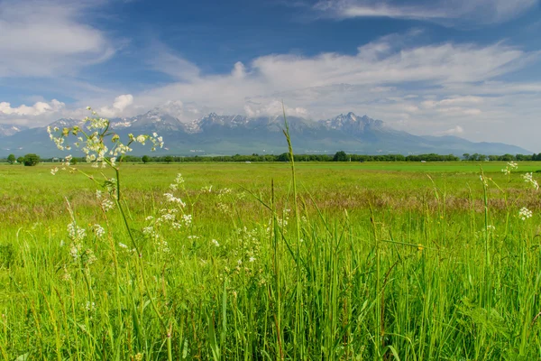 Magnifique vue imprenable sur les montagnes — Photo