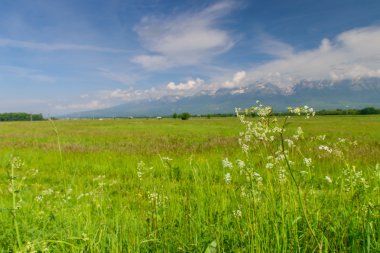 Dağları nın muhteşem, nefes kesici görünümü