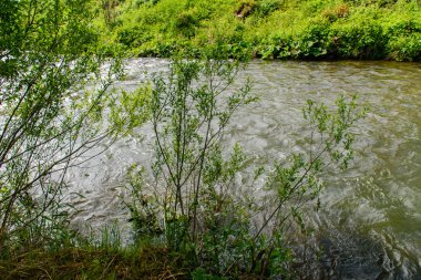 Nehrin Poprad, Slovakya