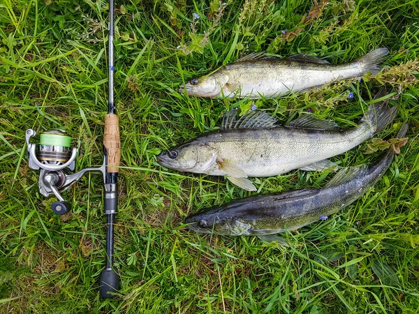 Buon pescatore cattura. Tempo libero . — Foto Stock