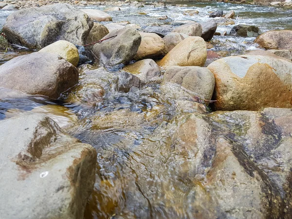 Prachtige landschap aan de rivier van de berg. Zomervakantie en holi — Stockfoto