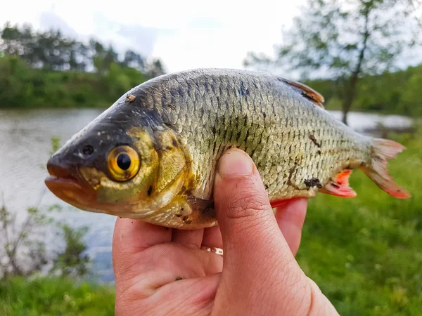 Good catch fisherman. Active outdoor recreation. — Stock Photo, Image