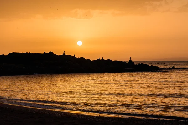 Vista do lindo pôr do sol na praia — Fotografia de Stock