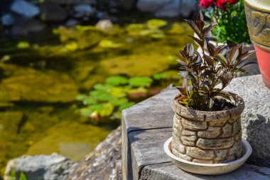 Güzel çevre düzenlemesi. Doğa insan eli tarafından.