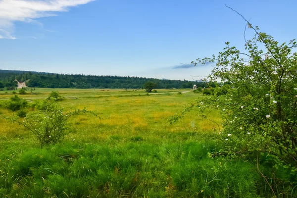 Schöne Berglandschaft mit dem Fluss — Stockfoto