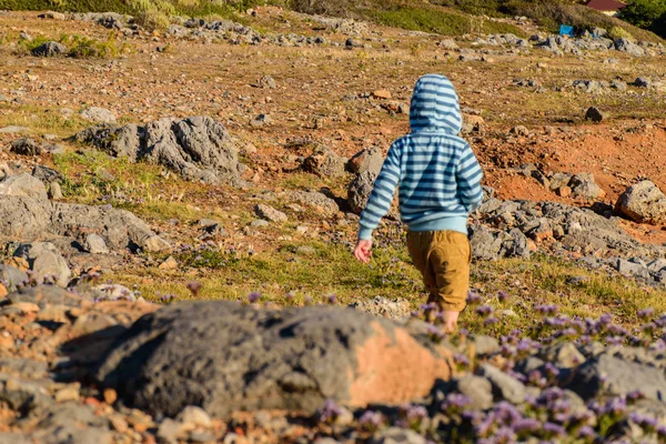 Ein fünfjähriger Junge, der in felsigem Gelände unterwegs ist — Stockfoto