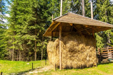 Karpatların eski halklarının evleri.