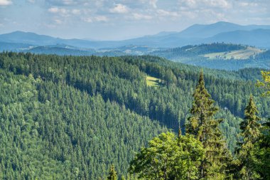 Kayak merkezi yaz doğası arka planı