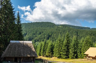 Kayak merkezi yaz doğası arka planı
