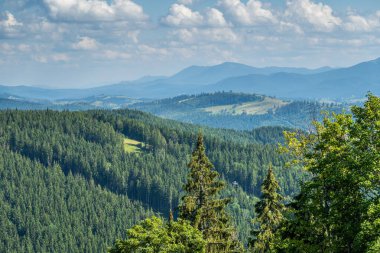 Kayak merkezi yaz doğası arka planı