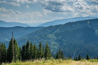 Kayak merkezi yaz doğası arka planı