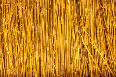 Kuru saman dokusu doğal arka plan