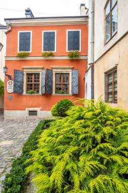 Lviv 'in güzel sokakları ve evleri