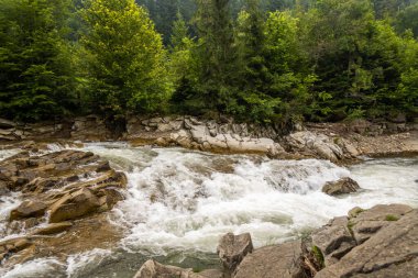 Dağ nehrinde alabalık avlamak