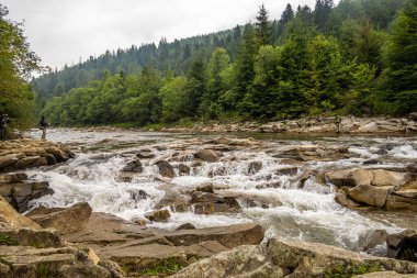 Muhteşem dağ nehri. Büyüleyici bir doğa.