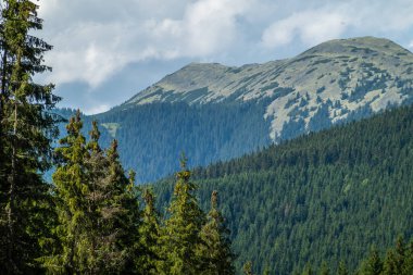 Kayak merkezi yaz doğası arka planı