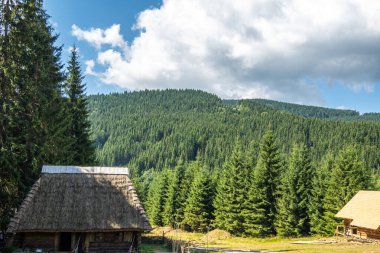 Kayak merkezi yaz doğası arka planı