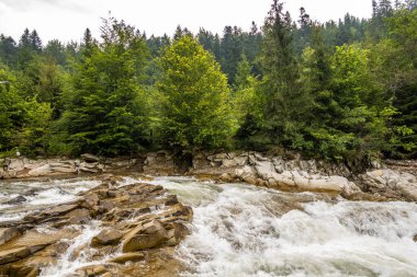 Muhteşem dağ nehri. Büyüleyici bir doğa.