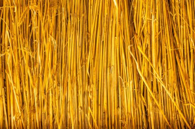 Kuru saman dokusu doğal arka plan