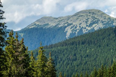 Kayak merkezi yaz doğası arka planı