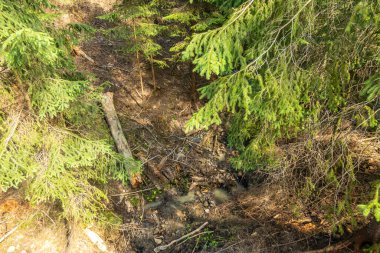 Yazın bir dağ otelinin güzel manzarası