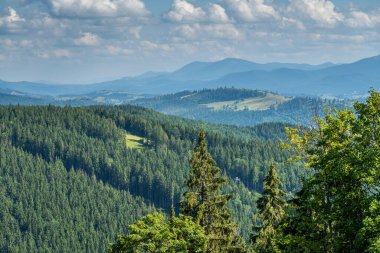 Kayak merkezi yaz doğası arka planı