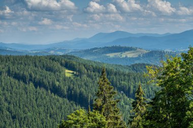 Kayak merkezi yaz doğası arka planı