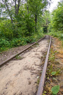 Muhteşem dağ nehri. Büyüleyici bir doğa.