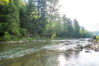 Dağ nehrinde alabalık avlamak
