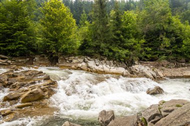 Dağ nehrinde alabalık avlamak