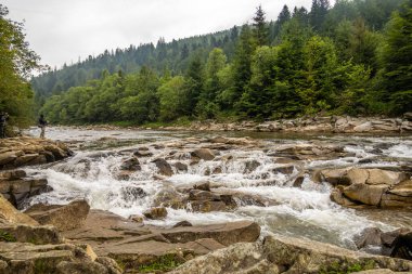 Muhteşem dağ nehri. Büyüleyici bir doğa.