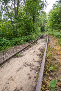 Muhteşem dağ nehri. Büyüleyici bir doğa.