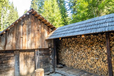 Karpatların eski halklarının evleri.