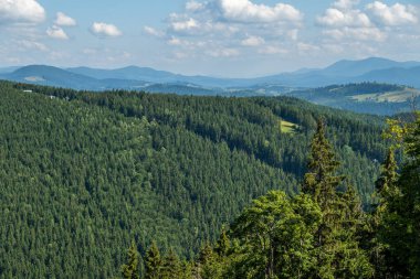 Kayak merkezi yaz doğası arka planı