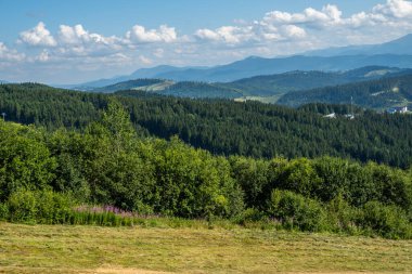 Kayak merkezi yaz doğası arka planı