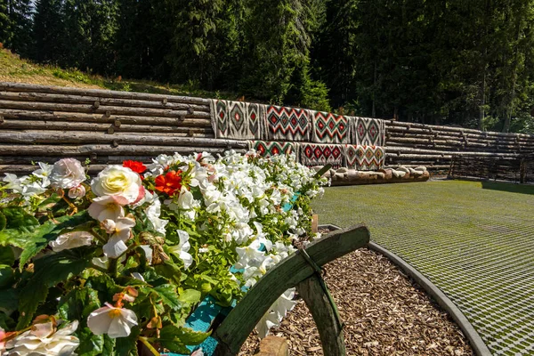 Domy Starożytnych Narodów Karpat — Zdjęcie stockowe