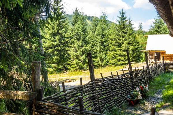 Schöne Landschaft Eines Gebirgsortes Sommer — Stockfoto