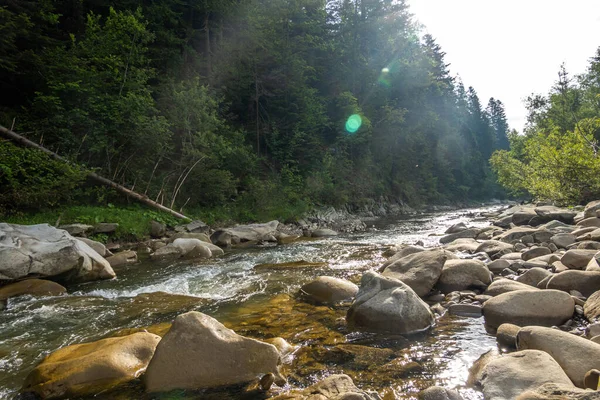 Magnifique Rivière Montagne Superbe Nature — Photo