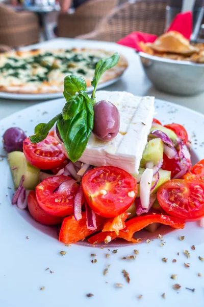 奶酪和西红柿沙拉食品背景 — 图库照片